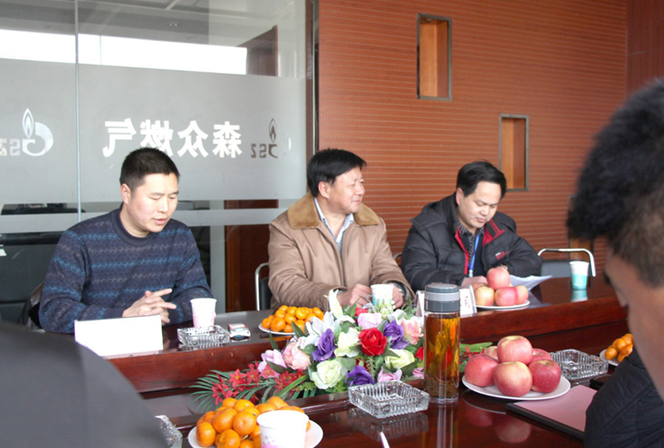 林口县政府与乐鱼官网·网站-乐鱼(中国)燃气项目洽谈.png